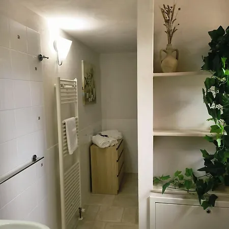 Chianche Di Vite